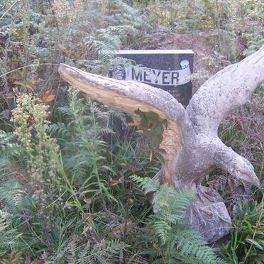 MEYER Cornelius Tobias 1927-1995