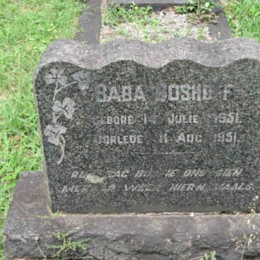BOSHOFF Baba 1951-1951