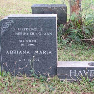 HAVENGA Adriana Maria 1907-