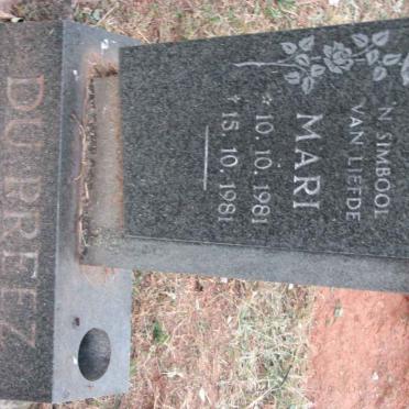 PREEZ Mari, du 1981-1981