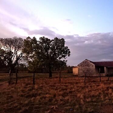 Mpumalanga, NKANGALA district, Loopspruit, Van Dykspruit 431, farm cemetery