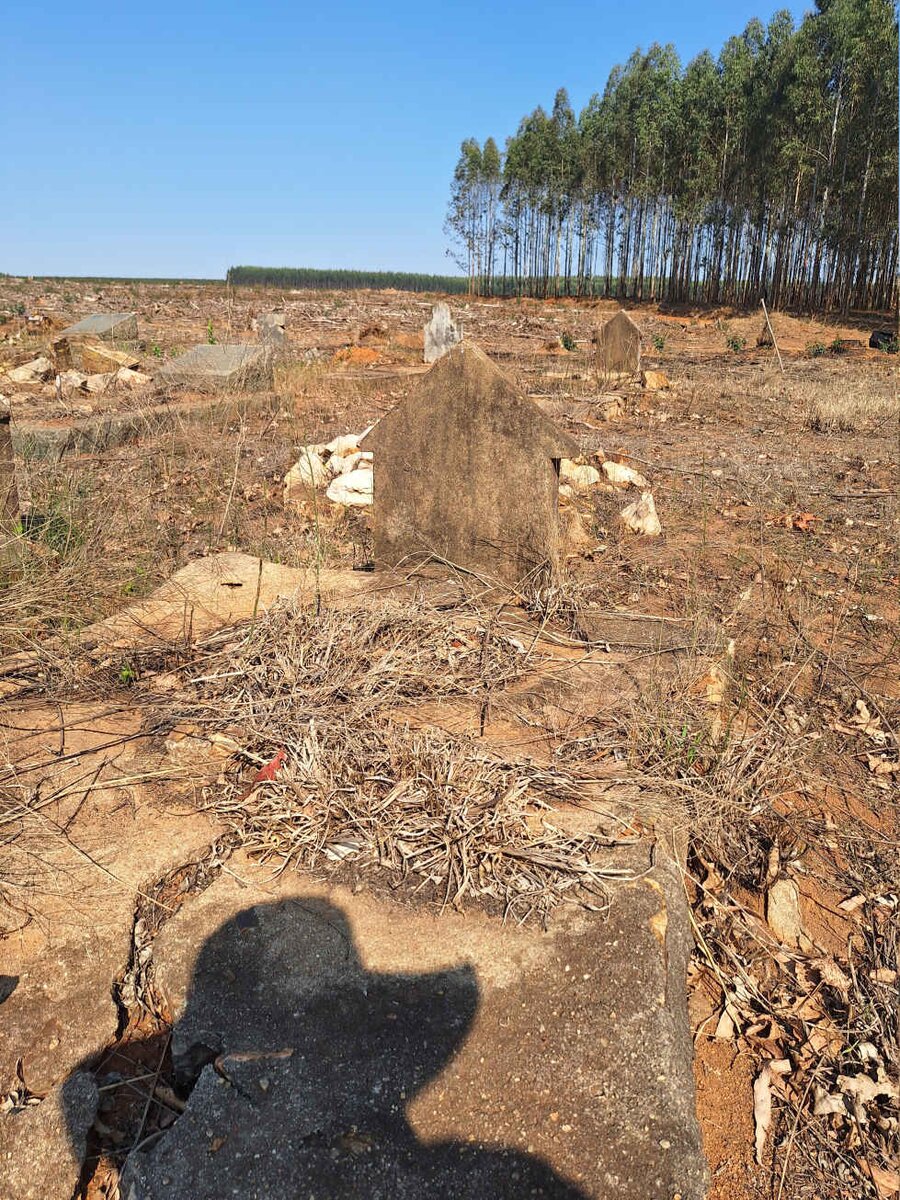 2. Overview / Oorsig