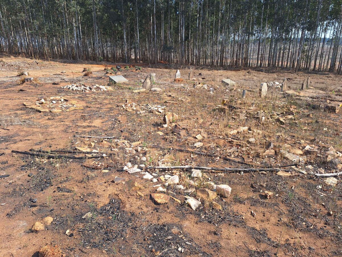 5. Overview / Oorsig