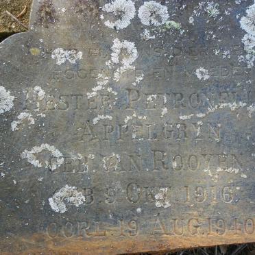 APPELGRYN Hester Petronella nee VAN ROOYEN 1916-1940 _2