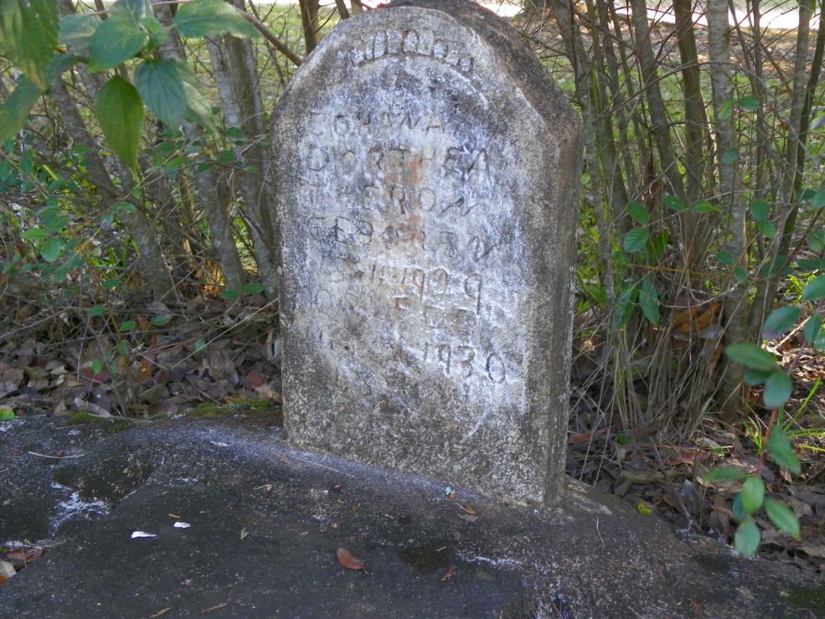 THERON Johanna Dorothea 1929-1930