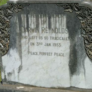 REYNOLDS Darwin -1953