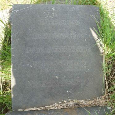 VOSLOO Ellen Agnus 1911-1914