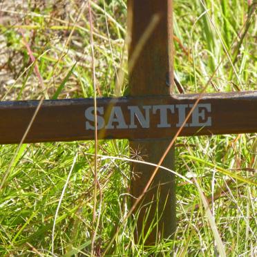 ? Santie