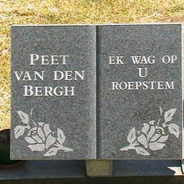 BERGH Peet, van den