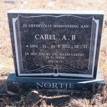 NORTJE Carel A.B. 1974-2012 