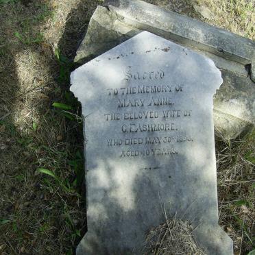 ASHMORE Mary Anne  -1895
