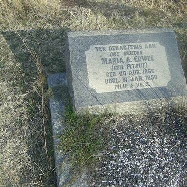 ERWEE Maria A. nee PITOUT 1866-1950
