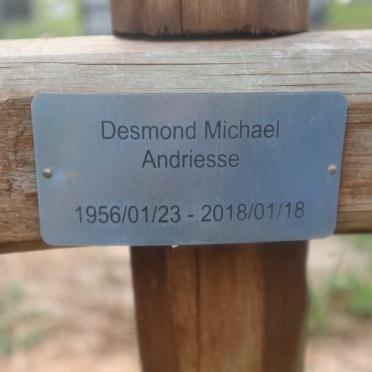 ANDRIESSE Desmond Michael 1956-2018