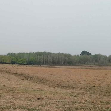 1. Oorsig / Overview