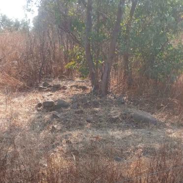 Mpumalanga, STANDERTON district, Morgenzon, Protest 485, farm cemetery_02