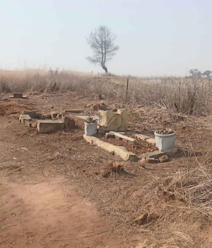 1. Oorsig / Overview