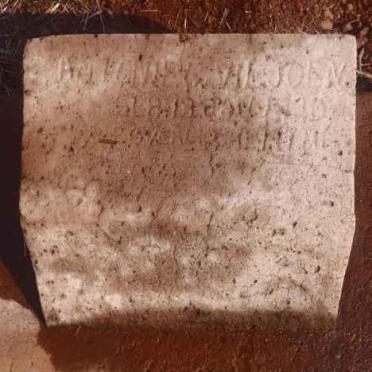 VILJOEN Antonie Christoffel 1920-1924