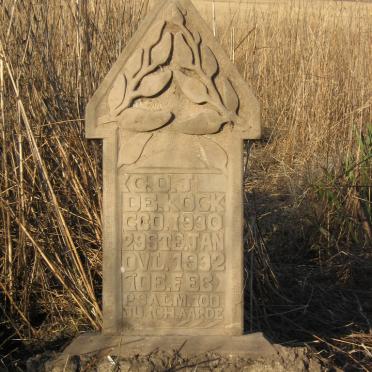 Mpumalanga, STANDERTON district, Niekerksvley 380 IS, farm cemetery_1