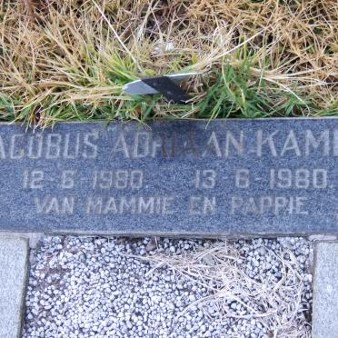 KAMFER Jacobus Adriaan 1980-1980
