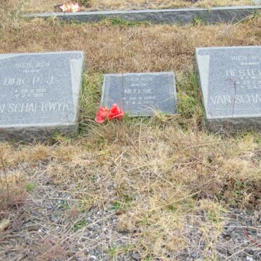 SCHALKWYK Dirk P.J., van 1931-1971 &amp; Hester J. v.d. WALT 1935-1971 :: van SCHALKWYK Neelsie 1968-1971