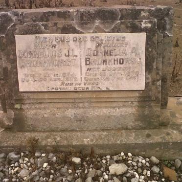 BRONKHORST Cornelius J.L. 1852-1937 &amp; Cornelia A. JOUBERT 1870-1921