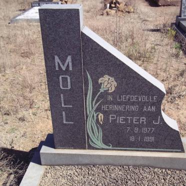 MOLL Pieter J. 1977-1991