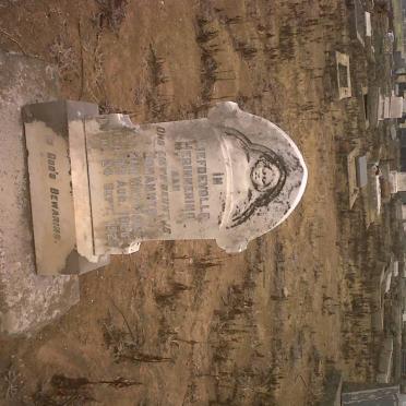 MAREE Johannes van der Wat 1926-1926