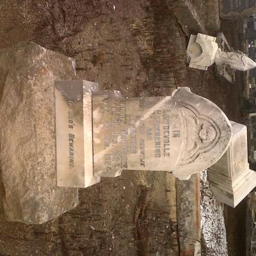 MAREE Johannes van der Wat 1924-1924