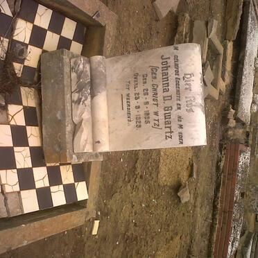 SWARTZ Johanna D. nee CHRISTOWITZ 1895-1929