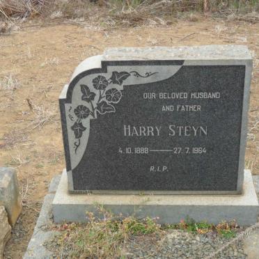 STEYN Harry 1888-1964