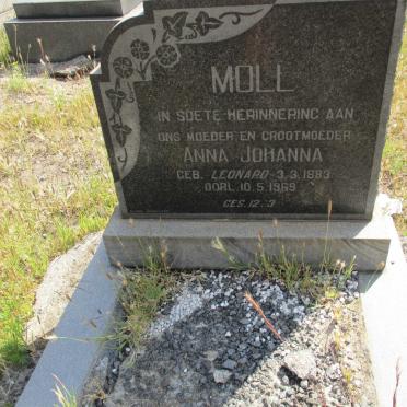 MOLL Anna Johanna nee LEONARD 1883-1969