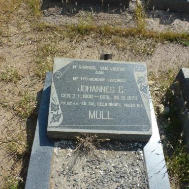 MOLL Johannes C. 1906-1970