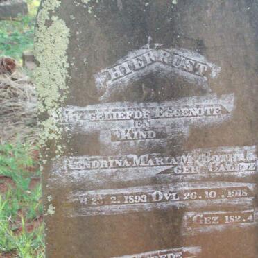 BOTHA Hendrina Maria M. nee CALITZ 1893-1918