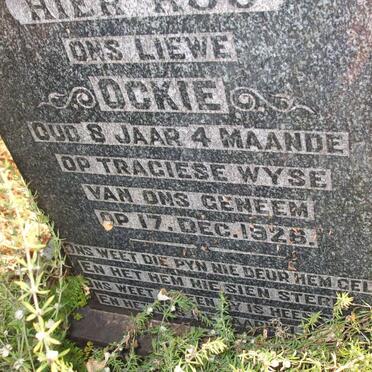 BLERK Ockie, van -1926