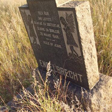 ENGELBRECHT Son 1948-1948 ::  ENGELBRECHT Daughter 1948-1948