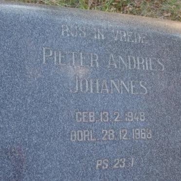 SWANEPOEL Pieter Andries Johannes 1948-1968