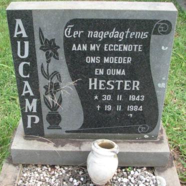 AUCAMP Hester 1943-1984
