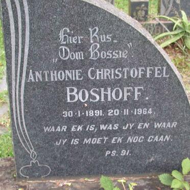 BOSHOFF Anthonie Christoffel 1891-1964