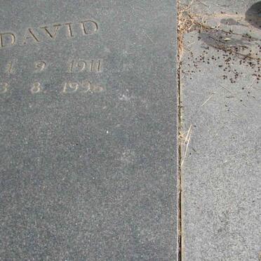 BOTHA David 1911-1996