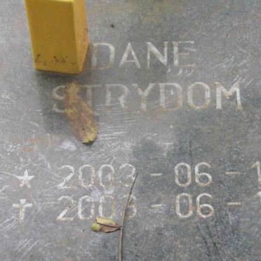 STRYDOM Dane 2003-2003