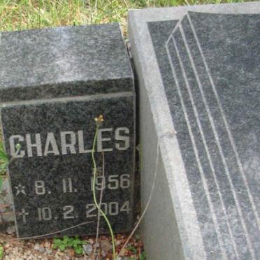 WALT Frans Johannes Christaan, van der 1925-1982 :: VAN DER WALT Charles 1956-2004