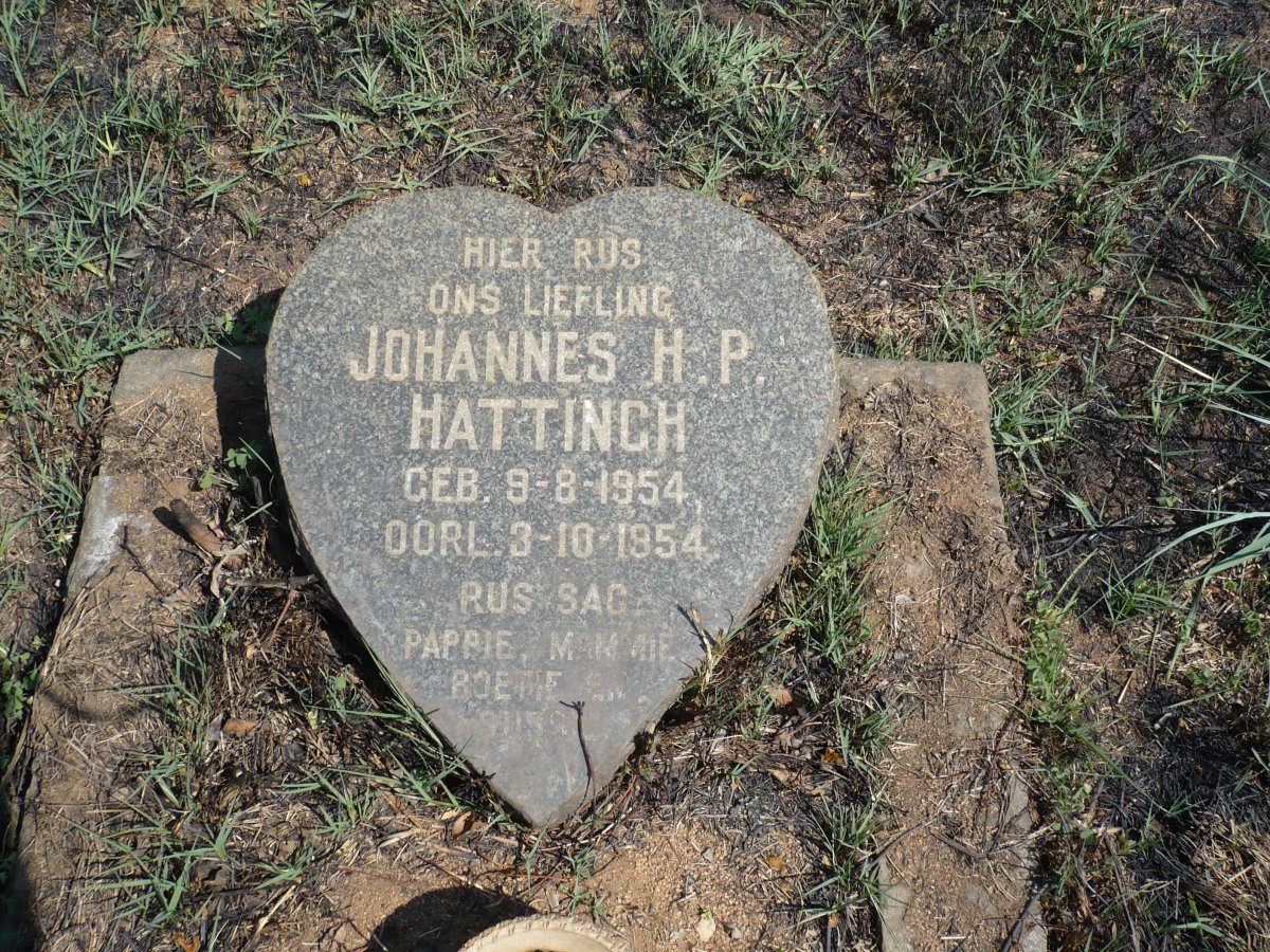 HATTINGH Johannes H.P. 1954-1954