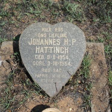 HATTINGH Johannes H.P. 1954-1954