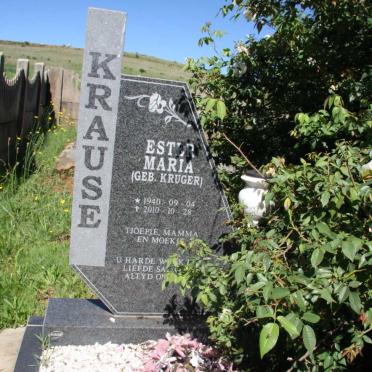 Mpumalanga, BELFAST district, Schoongezigt 347, Skoongezicht, farm cemetery