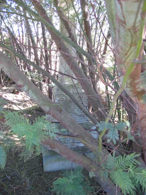 2. Overview / Oorsig