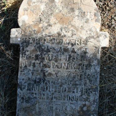 MAREE Karel P. 1898-1912