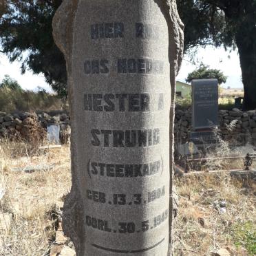 STRUWIG Hester A. nee STEENKAMP 1904-1949_2