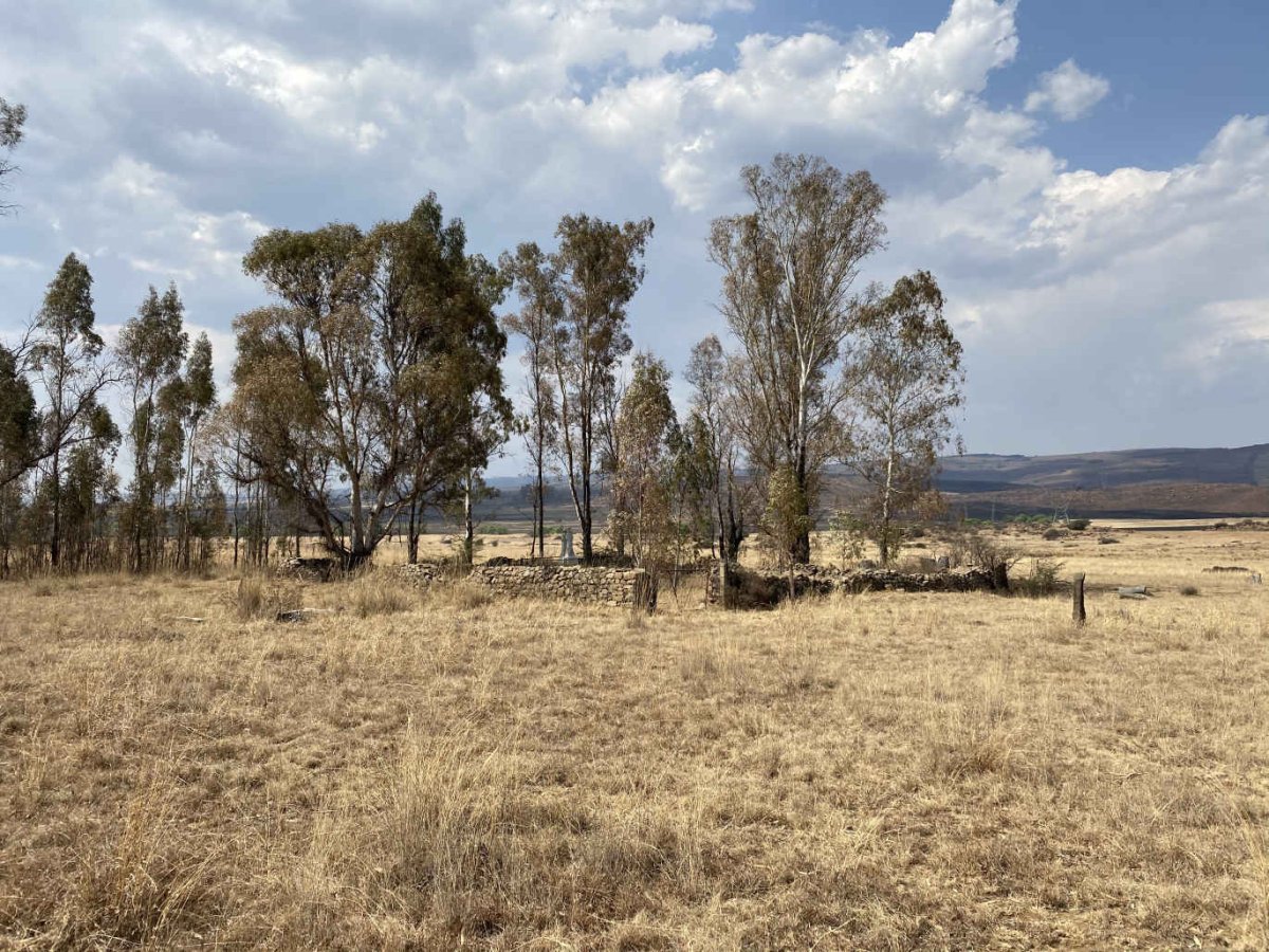 1. Overview / Oorsig