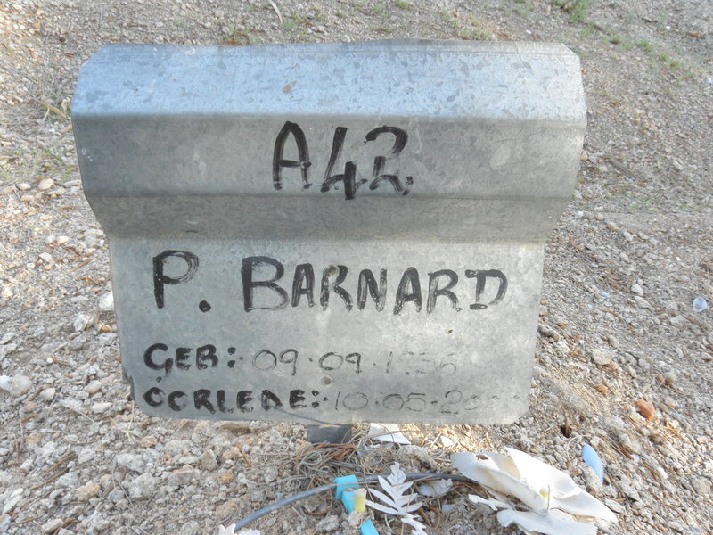 BARNARD P. 1956-2000