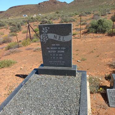 NEL Hester Josina 1918-1991